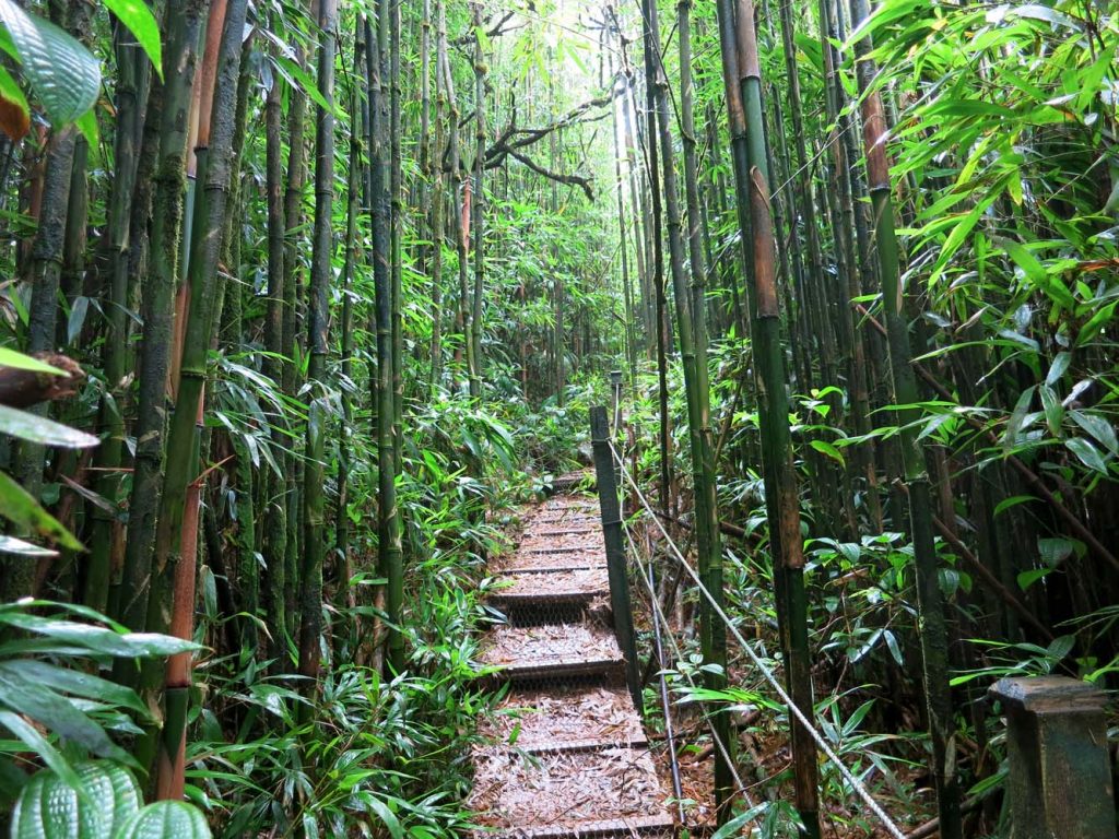 Green Mountain - Spectacular Mountains